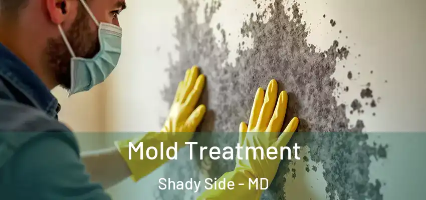  Mold Treatment Shady Side - MD