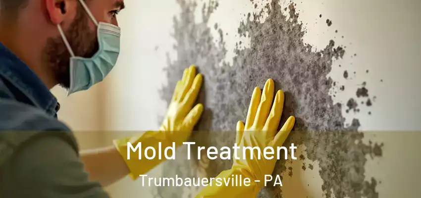 Mold Treatment Trumbauersville - PA