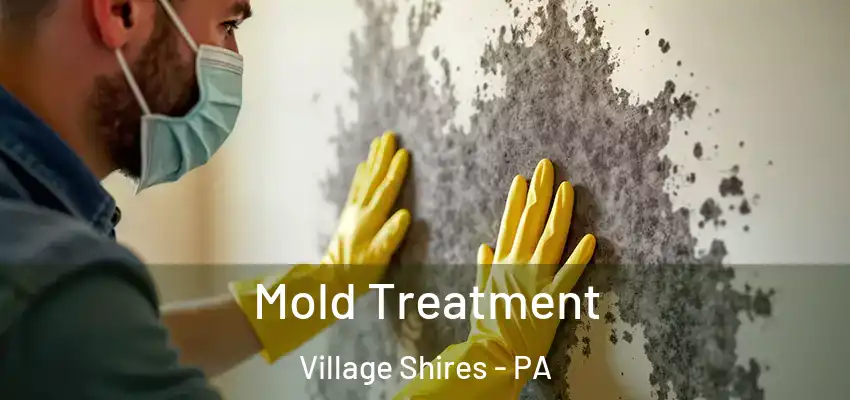 Mold Treatment Village Shires - PA