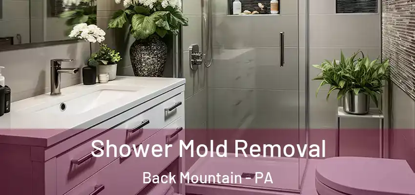 Shower Mold Removal Back Mountain - PA