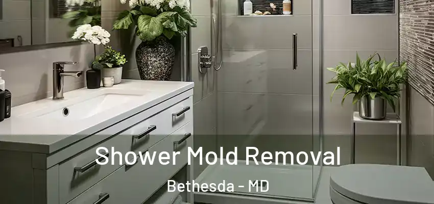  Shower Mold Removal Bethesda - MD