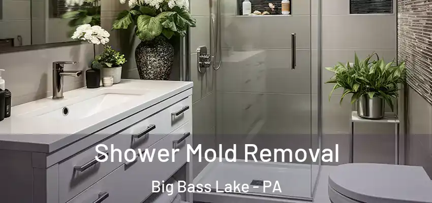  Shower Mold Removal Big Bass Lake - PA