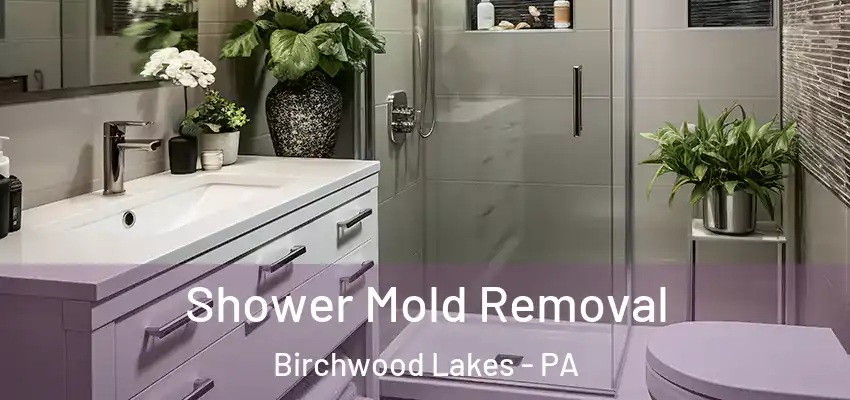 Shower Mold Removal Birchwood Lakes - PA