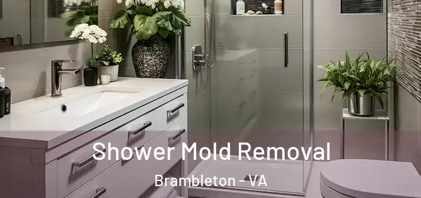 Shower Mold Removal Brambleton - VA