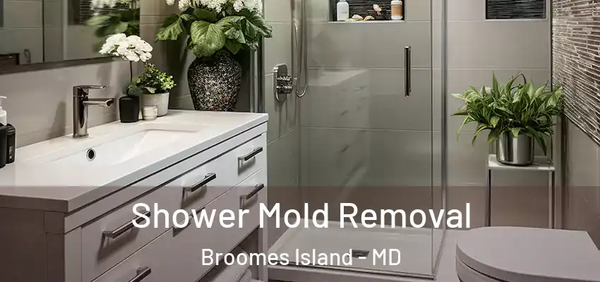  Shower Mold Removal Broomes Island - MD