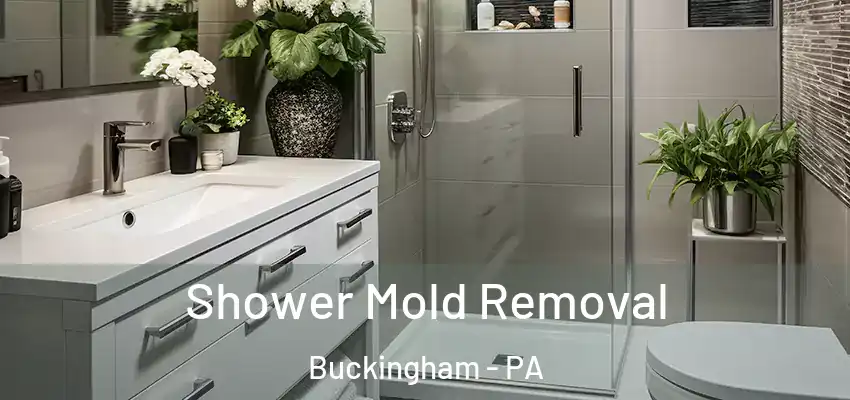 Shower Mold Removal Buckingham - PA
