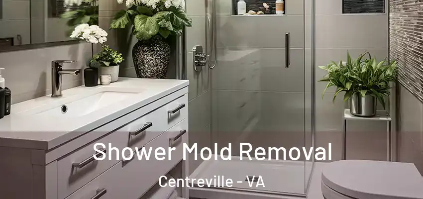  Shower Mold Removal Centreville - VA