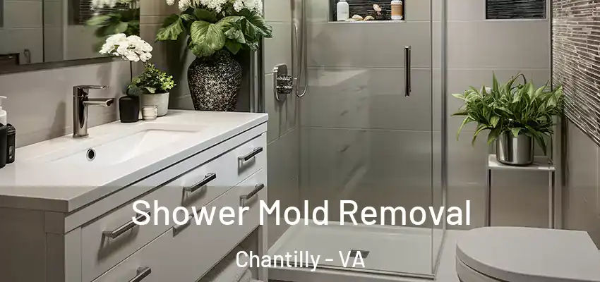  Shower Mold Removal Chantilly - VA