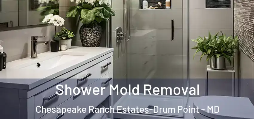  Shower Mold Removal Chesapeake Ranch Estates-Drum Point - MD