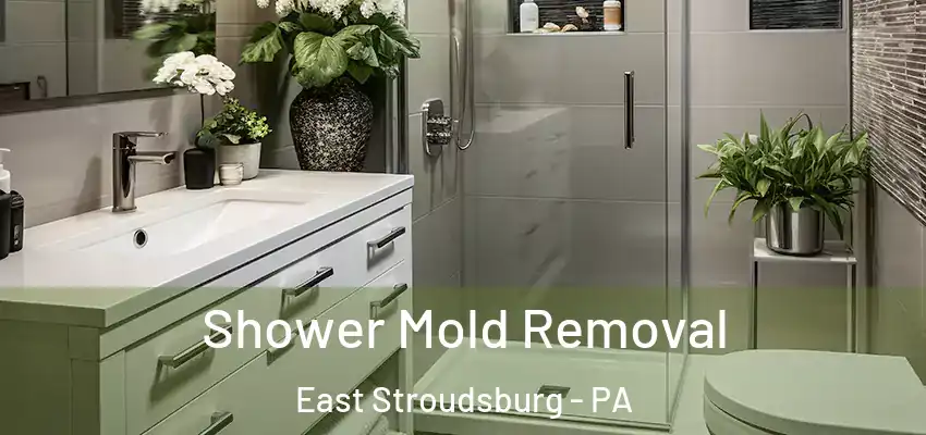 Shower Mold Removal East Stroudsburg - PA