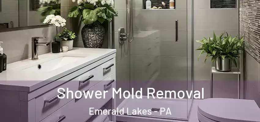 Shower Mold Removal Emerald Lakes - PA