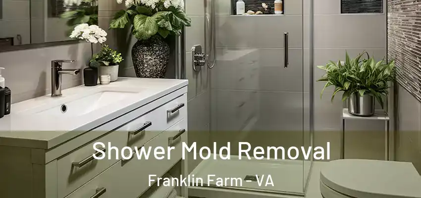  Shower Mold Removal Franklin Farm - VA