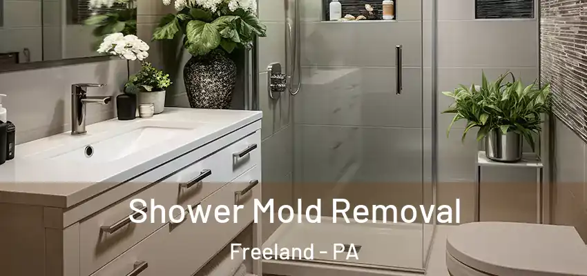 Shower Mold Removal Freeland - PA