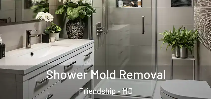 Shower Mold Removal Friendship - MD