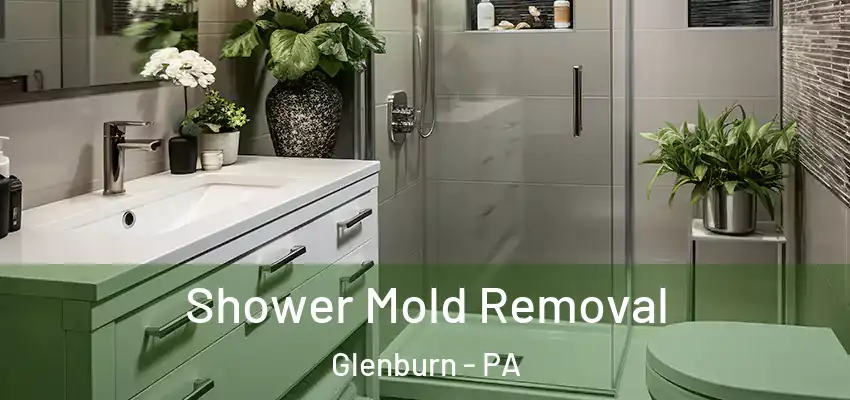  Shower Mold Removal Glenburn - PA