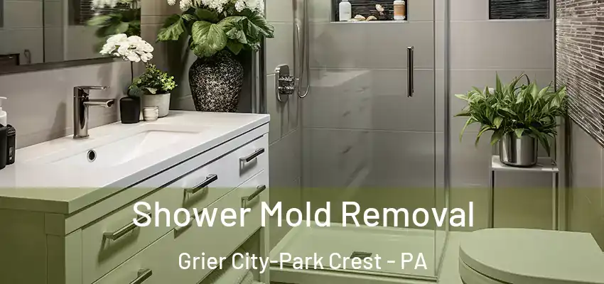 Shower Mold Removal Grier City-Park Crest - PA