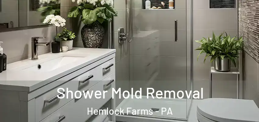 Shower Mold Removal Hemlock Farms - PA