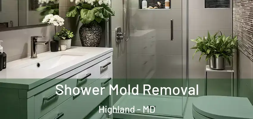 Shower Mold Removal Highland - MD