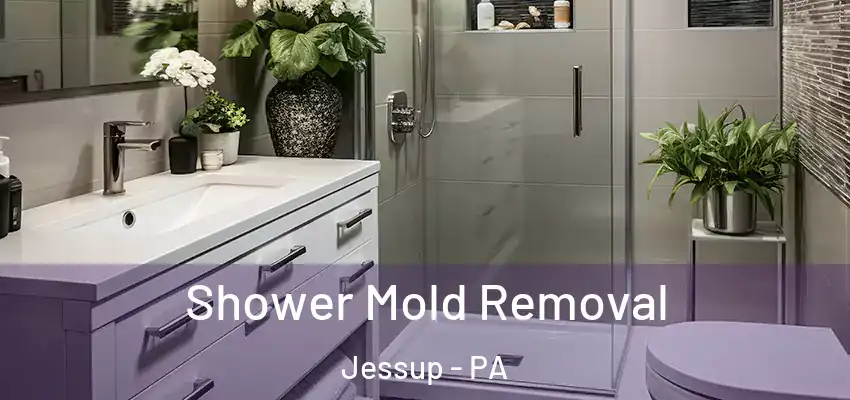  Shower Mold Removal Jessup - PA