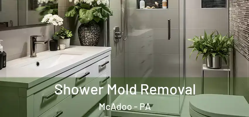 Shower Mold Removal McAdoo - PA
