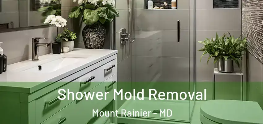  Shower Mold Removal Mount Rainier - MD