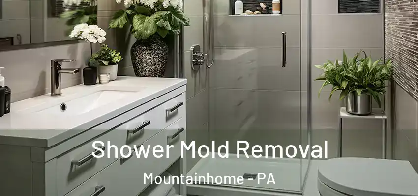 Shower Mold Removal Mountainhome - PA