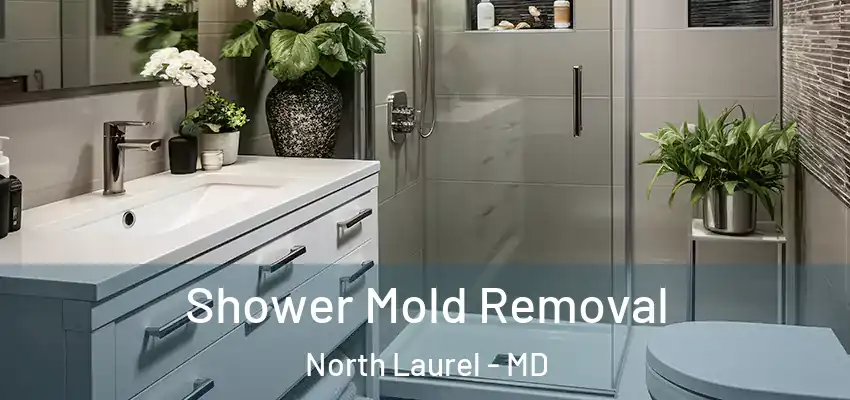 Shower Mold Removal North Laurel - MD