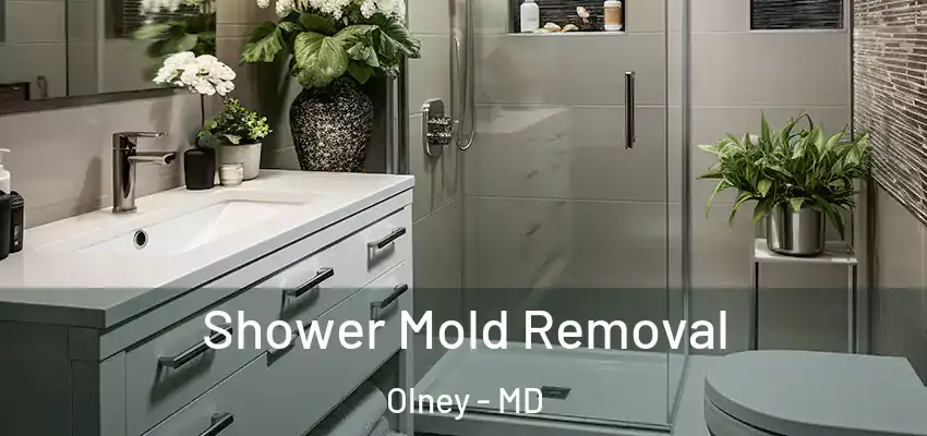 Shower Mold Removal Olney - MD
