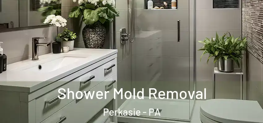 Shower Mold Removal Perkasie - PA