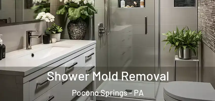 Shower Mold Removal Pocono Springs - PA