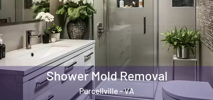  Shower Mold Removal Purcellville - VA