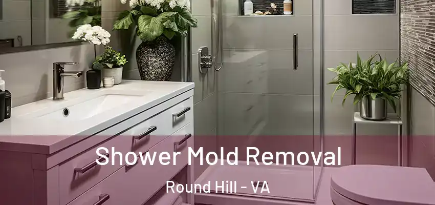Shower Mold Removal Round Hill - VA