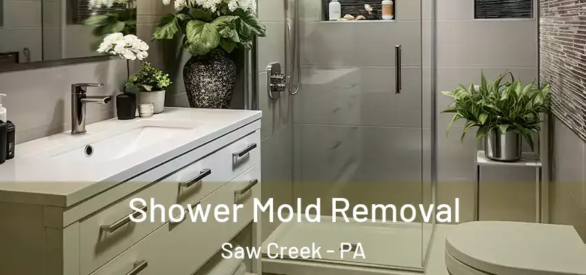 Shower Mold Removal Saw Creek - PA