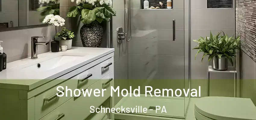  Shower Mold Removal Schnecksville - PA