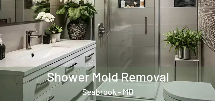 Shower Mold Removal Seabrook - MD