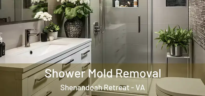  Shower Mold Removal Shenandoah Retreat - VA