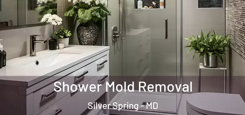 Shower Mold Removal Silver Spring - MD
