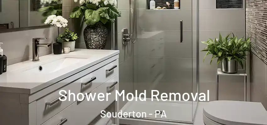 Shower Mold Removal Souderton - PA