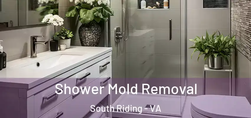  Shower Mold Removal South Riding - VA