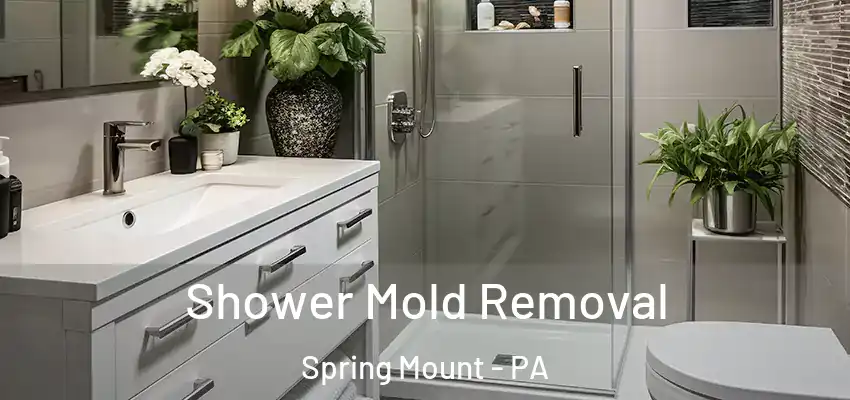Shower Mold Removal Spring Mount - PA
