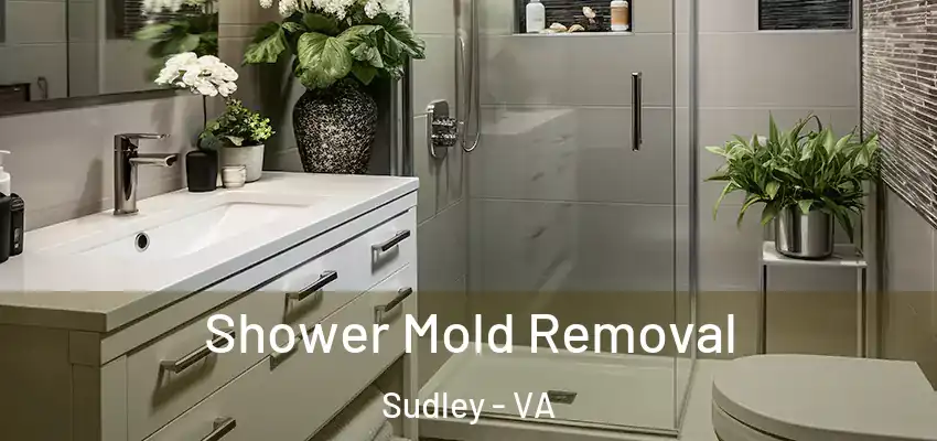 Shower Mold Removal Sudley - VA
