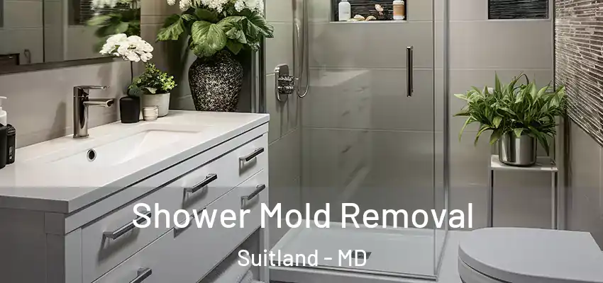 Shower Mold Removal Suitland - MD