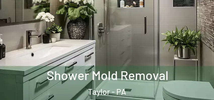  Shower Mold Removal Taylor - PA