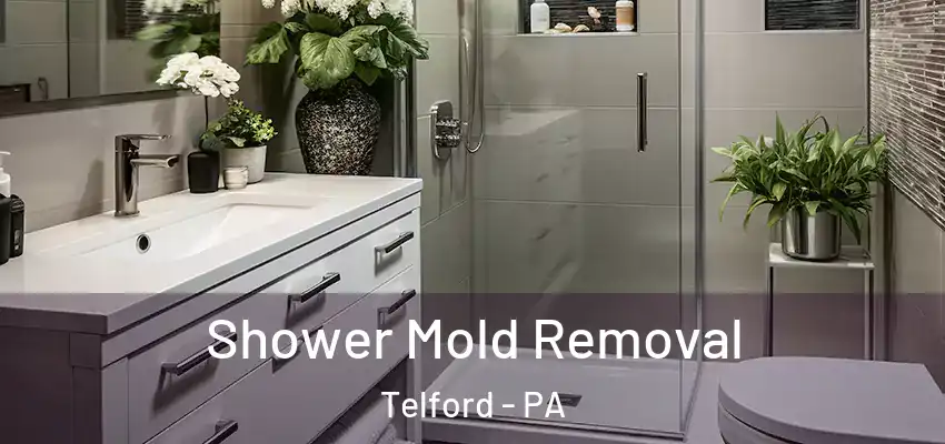 Shower Mold Removal Telford - PA