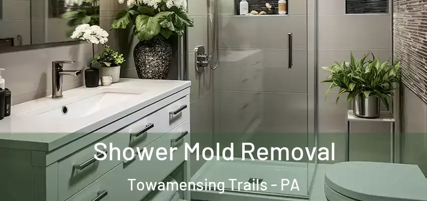 Shower Mold Removal Towamensing Trails - PA