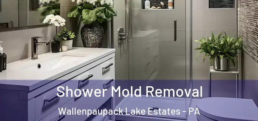 Shower Mold Removal Wallenpaupack Lake Estates - PA