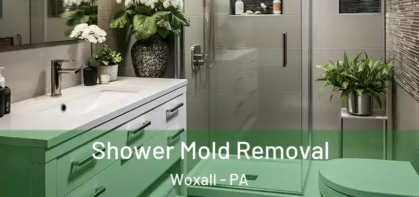 Shower Mold Removal Woxall - PA